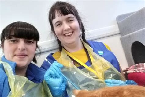 Volunteers’ Week 2019: What’s it like to volunteer for Cats Protection?