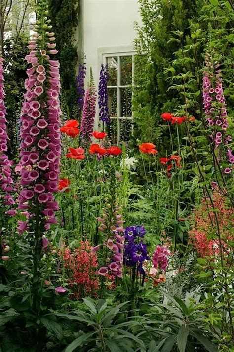 Cottage garden, foxglove, delphinium, poppies, penstemon | Cottage garden design, Country garden ...