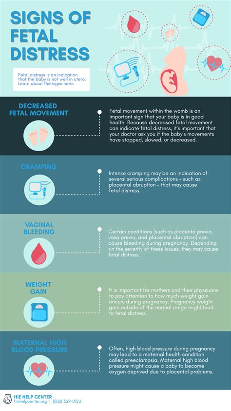 Signs of Fetal Distress During Pregnancy | The HIE Help Center