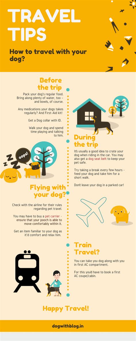 How to travel with your dog? A complete Guide