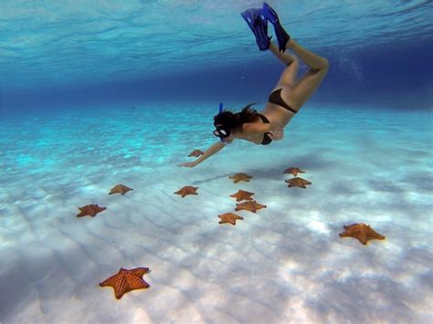 Cozumel: Coral Reefs Snorkeling & Playa Mia - Cozumel | Project Expedition