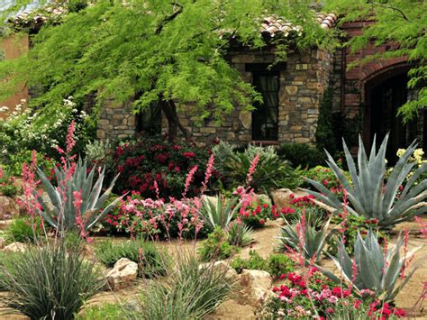 The Essential Guide to Drought Tolerant Plants for Texas