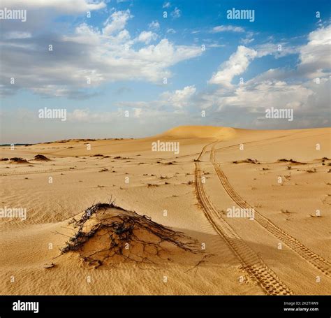 Sand dunes on sunrise, Mui Ne, Vietnam Stock Photo - Alamy