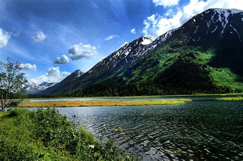 20 Photos That Prove Alaska Is Pure Bliss In The Summertime | Alaska, Alaska summer, Alaska travel