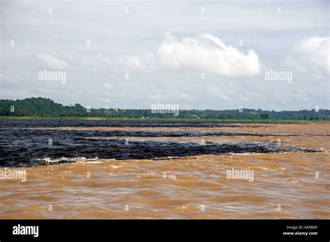 The confluence of the Amazon River and the Rio Negro at Manaus Brazil Stock Photo - Alamy