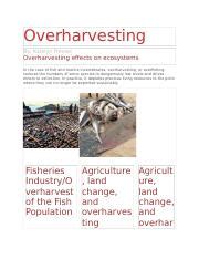 overharvesting.docx - Overharvesting By: Katelyn Freese Overharvesting effects on ecosystems In ...