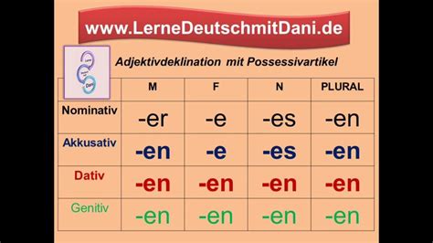 Adjektivdeklination nach Possessivartikel - YouTube