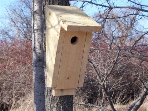 Birdhouse Kit Bluebird Bird House Peterson Style Natural Cedar | Etsy