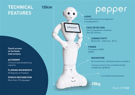 Humanoid Robot “Pepper” – Fumiko Katsuki