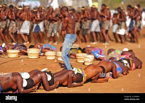 Traditional dance competition in Venda in Limpopo, South Africa Stock ...