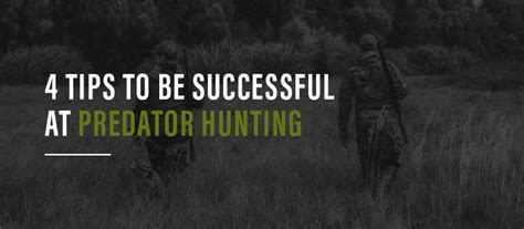 4 Tips to Be Successful at Predator Hunting | Moultrie Mobile