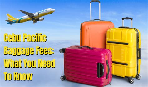 Cebu Pacific Baggage Fees: What You Need To Know