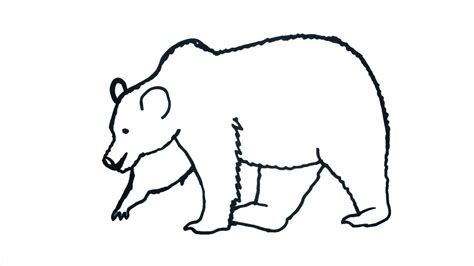 Bear Drawing For Kids, Alphabet Directed Drawing | Directed drawing ...