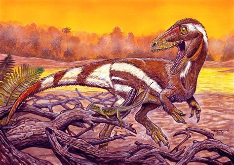 New Feathered Carnivorous Dinosaur Found in Brazil | Paleontology | Sci-News.com