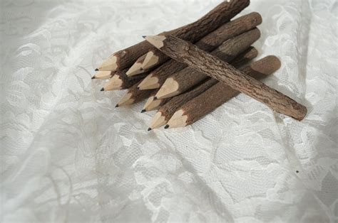 Natural Twig Branch Pencils – maidenlaneboutique