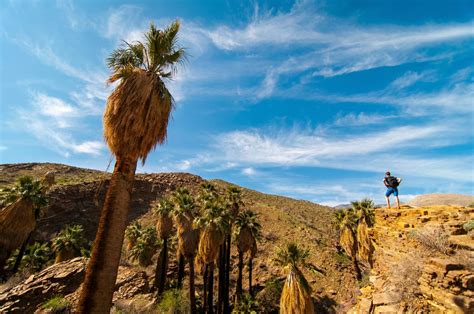 Palm Springs Hiking Shows Another Side of This Glamorous Getaway