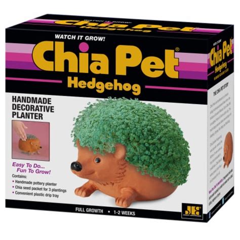 Chia Pet Hedgehog Handmade Decorative Planter, 1 ct - Kroger