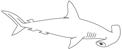 Coloriage Requin #14787 (Animaux) – Dessin à colorier – Coloriages à ...