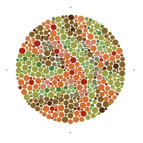 Ishihara Color Blindness Test Poster Print by Science Source - Walmart ...