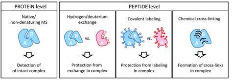 News in Proteomics Research: Great review on structural proteomics techniques!