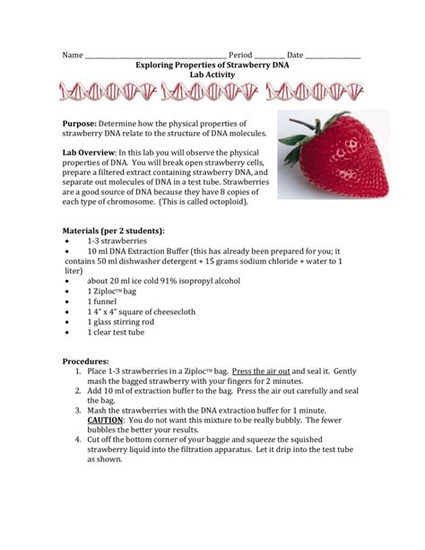 Strawberry Dna Extraction Lab Worksheet – Imsyaf.com