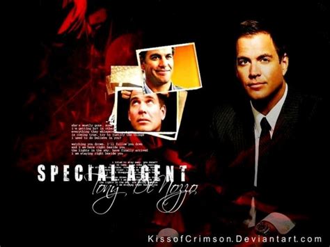 Tony DiNozzo - NCIS Wallpaper (14919483) - Fanpop