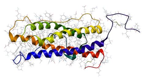 Prolactin and TSH: Thyroid Secret #8 - Total Health Center VB