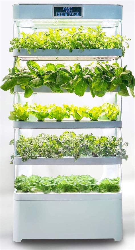 Family-Sized Indoor Gardens : hydroponic indoor vertical garden