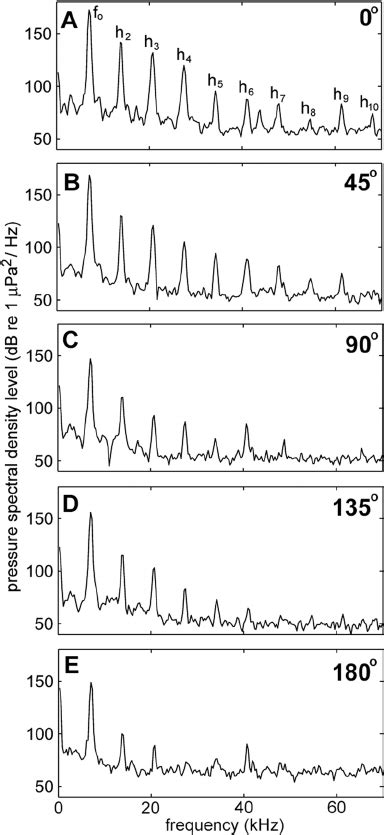 Harmonic structure of a single bottlenose dolphin whistle measured at... | Download Scientific ...