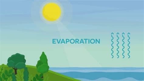 Evaporation Examples For Kids