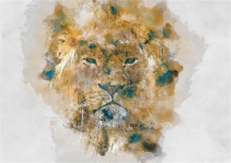 Lion Watercolor Illustration. Stock Illustration - Illustration of ...