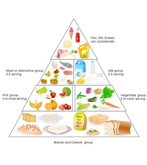 Balanced Diet Chart For Toddlers – A Complete Guide