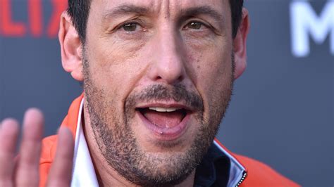 Who Is Adam Sandler's Actor Nephew, Jared Sandler? | Gossip-Addict