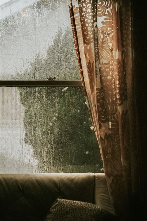 Download premium image of Rainy day outside the window by Felix about ...