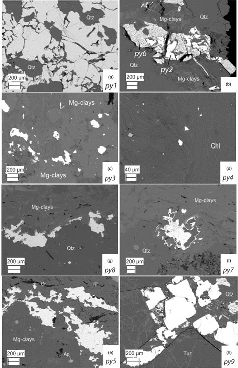 Backscatter electron (BSE) images of the various pyrite textures ...