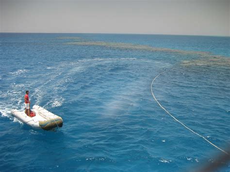 egyptian red sea reefs | Reefs. Red Sea Diving Trip. Egyptia… | Flickr