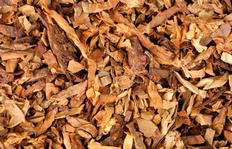 Cut Dried Leaves Of Tobacco Stock Photo - Image of smoke, shredded: 16484770