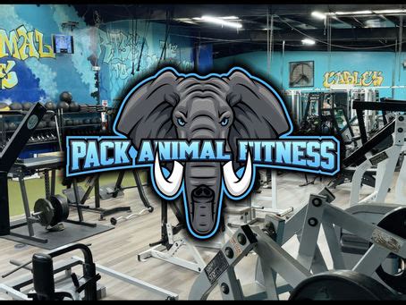 BLOG | Pack Animal Fitness