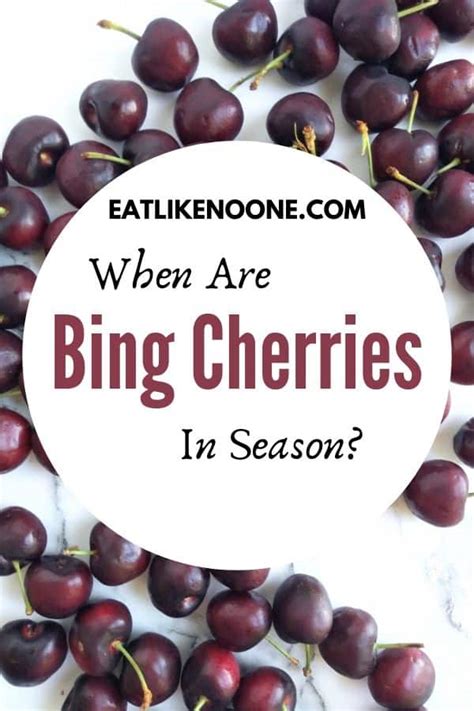 When are Bing Cherries in Season? - Eat Like No One Else