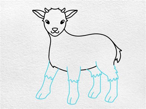 How to Draw a Baby Goat - HelloArtsy