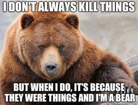 Pin by Lewis Pitt on Ursidae | Bear meme, Funny bears, Funny animal pictures