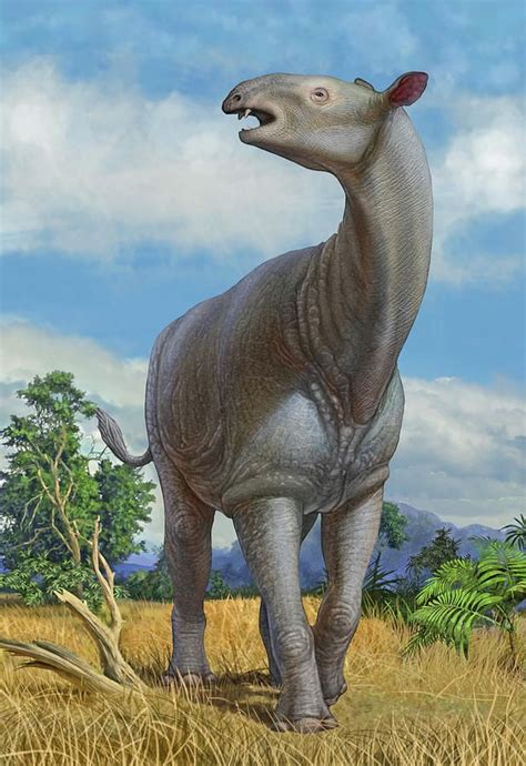 A Lone Paraceratherium Bugtiense by Sergey Krasovskiy | Extinct animals, Prehistoric animals ...