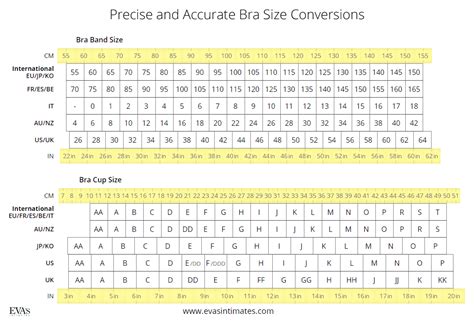 Bra Cup Sizes In Between