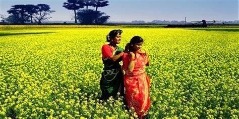 Rural Bangladeshi women: Empowerment, farming and life satisfaction ...