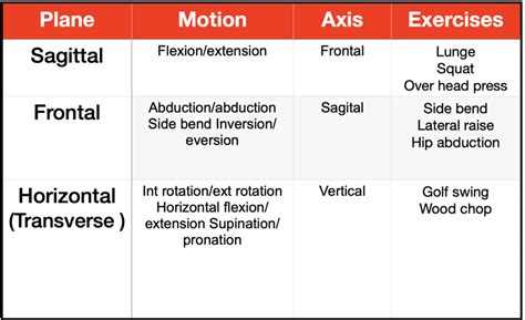 Movements planes - Movement principles - Exercise Education Lab