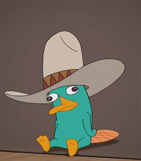 Perry GIFs - Find & Share on GIPHY