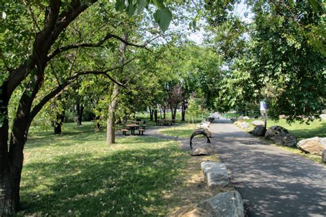 Randall’s Island Park offers an escape from quarantine blues - amNewYork