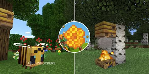 Minecraft: How To Get Honeycomb