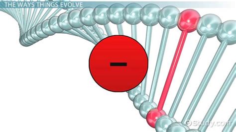 Microevolution | Definition & Examples - Lesson | Study.com