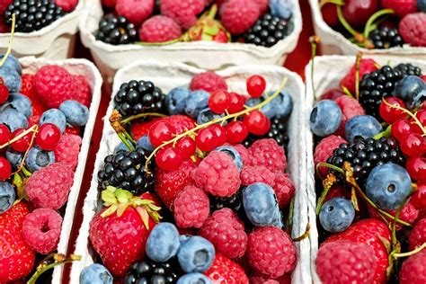 Berries Fruit Fruits · Free photo on Pixabay